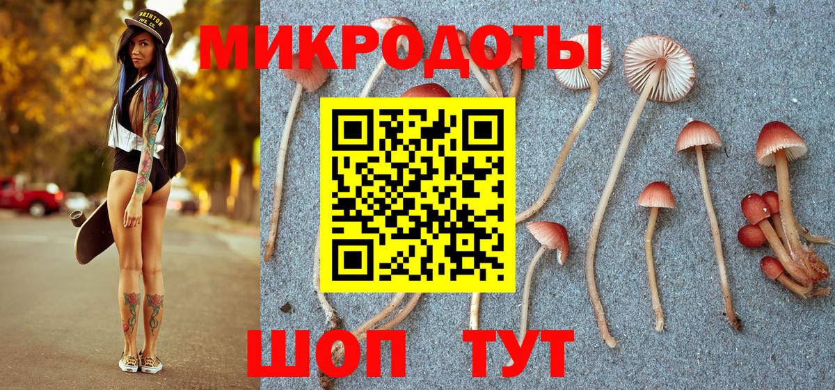 закладка  Галлюциногенные грибы Psilocybine cubensis  Вход с VPN  Десногорск 